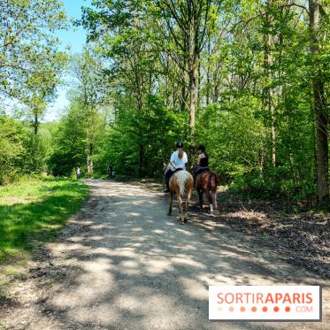 Balade nature dans la forêt de Montmorency, nos photos