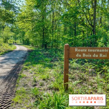 Balade nature dans la forêt de Montmorency, nos photos