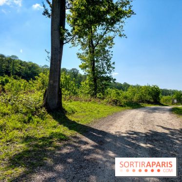 Balade nature dans la forêt de Montmorency, nos photos