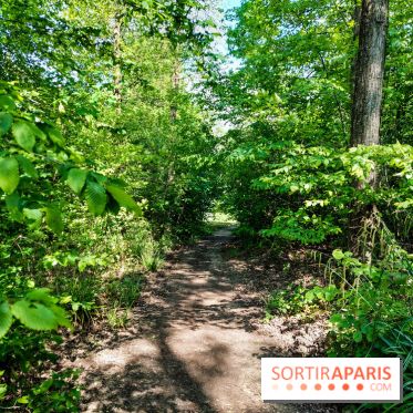 Balade nature dans la forêt de Montmorency, nos photos
