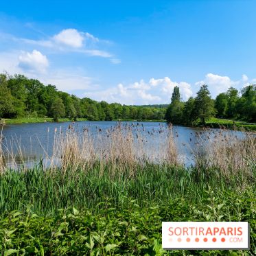 Balade nature dans la forêt de Montmorency, nos photos