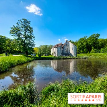 Balade nature dans la forêt de Montmorency, nos photos