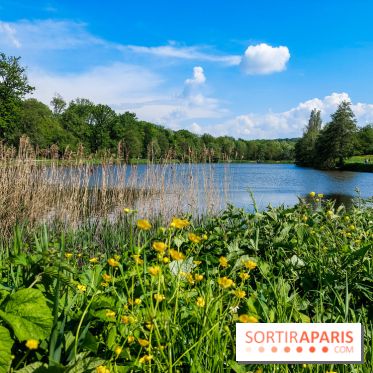 Balade nature dans la forêt de Montmorency, nos photos