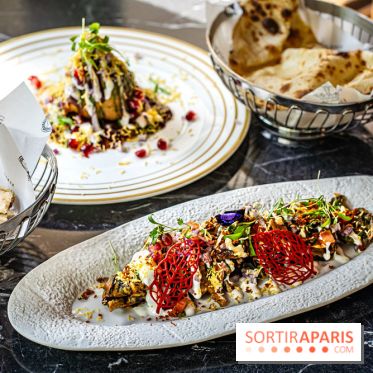 Berkeley Garden, l'excellent restaurant indien à deux pas du Pont de l'Alma -  A7C7504