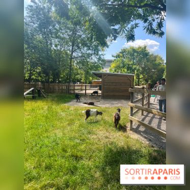 La ferme de la Villette et ses animaux