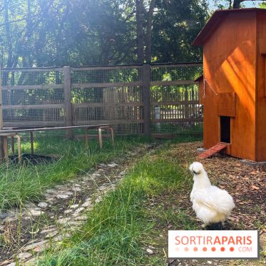 La ferme de la Villette et ses animaux