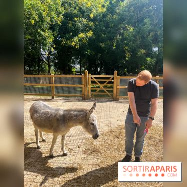 La ferme de la Villette et ses animaux