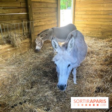 La ferme de la Villette et ses animaux