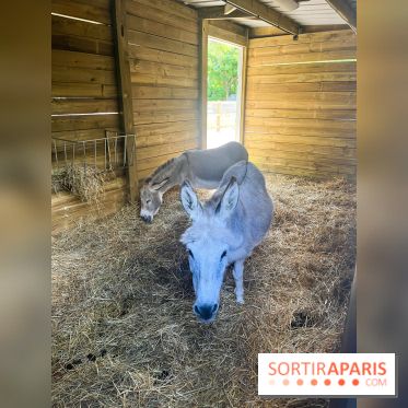 La ferme de la Villette et ses animaux