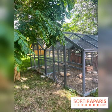 La ferme de la Villette et ses animaux
