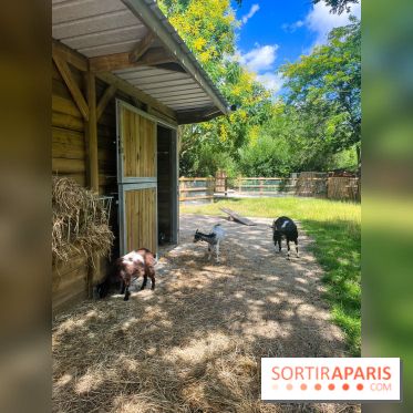 La ferme de la Villette et ses animaux