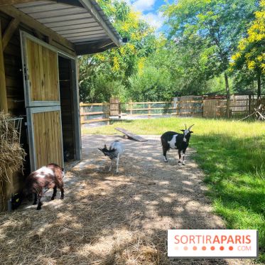 La ferme de la Villette et ses animaux