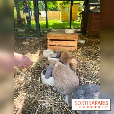 La ferme de la Villette et ses animaux