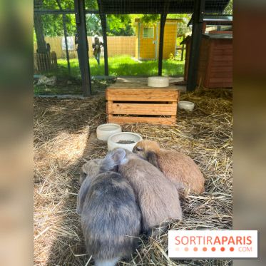 La ferme de la Villette et ses animaux
