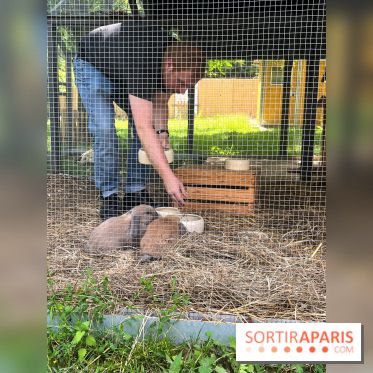 La ferme de la Villette et ses animaux