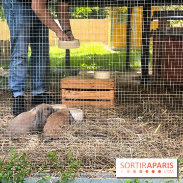 La ferme de la Villette et ses animaux