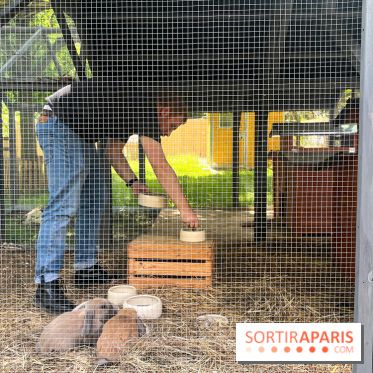 La ferme de la Villette et ses animaux