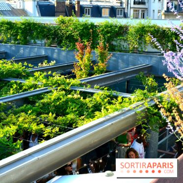 Goku Rooftop au Musée Guimet : la terrasse gourmande à Paris - DSC 0064
