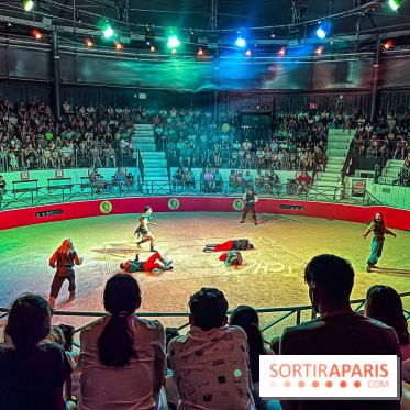 L'Été Gaulois au Parc Astérix
