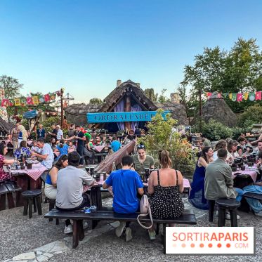 L'Été Gaulois au Parc Astérix  - IMG 9127