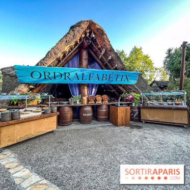 L'Été Gaulois au Parc Astérix  - IMG 9088