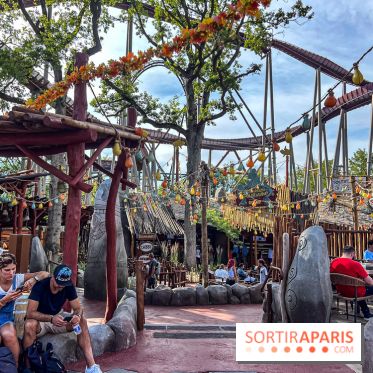 L'Été Gaulois au Parc Astérix  - IMG 9068