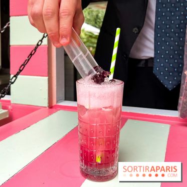 Les Jardins du Marais : la terrasse de l'été 2023 - image00015