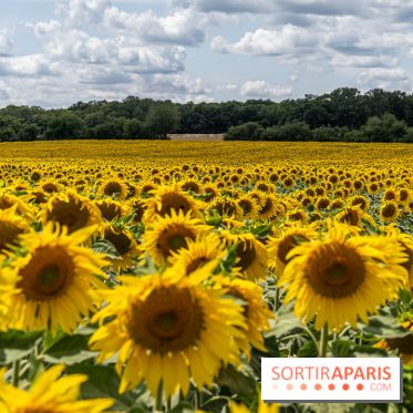 Le village de Flagy en Seine et Marne