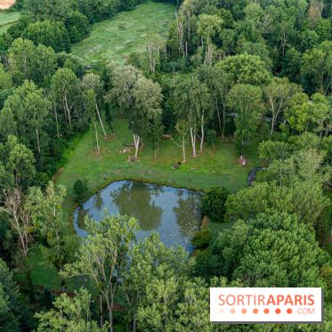 Montgolfière à Fontainebleau, vol au dessus de l'Ile-de-France -  A7C8986