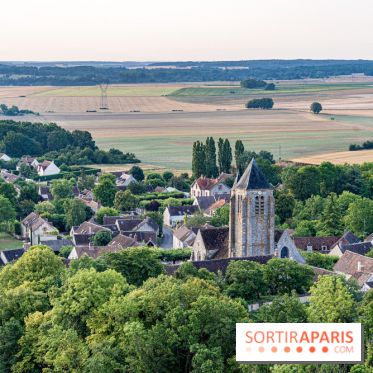 Montgolfière à Fontainebleau, vol au dessus de l'Ile-de-France -  A7C8993