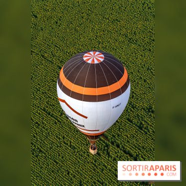 Montgolfière à Fontainebleau, vol au dessus de l'Ile-de-France -  A7C9027