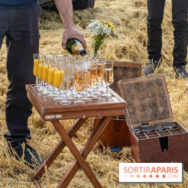 Montgolfière à Fontainebleau, vol au dessus de l'Ile-de-France -  A7C9031