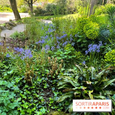 Le parc Kellerman, bijou de verdure dans le 13e arrondissement