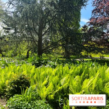Le parc Kellerman, bijou de verdure dans le 13e arrondissement