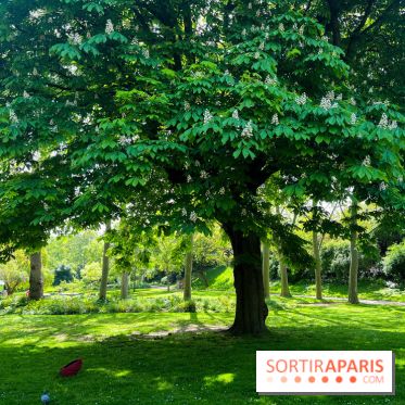 Le parc Kellerman, bijou de verdure dans le 13e arrondissement