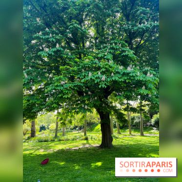 Le parc Kellerman, bijou de verdure dans le 13e arrondissement  - image00011