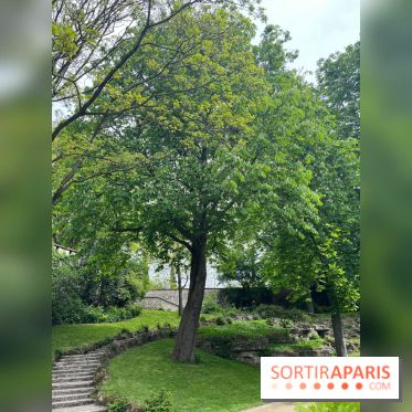 Le parc Kellerman, bijou de verdure dans le 13e arrondissement
