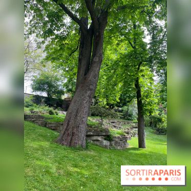 Le parc Kellerman, bijou de verdure dans le 13e arrondissement  - image00002
