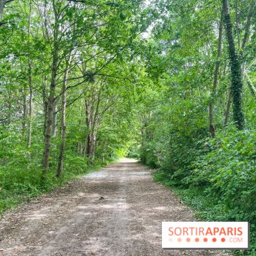 Cergy, la ville aux milles facettes