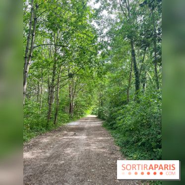 Cergy, la ville aux milles facettes