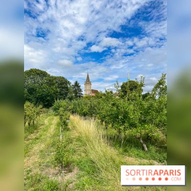 Cergy, la ville aux milles facettes
