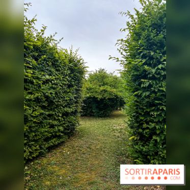 Les labyrinthes de Gally 2023