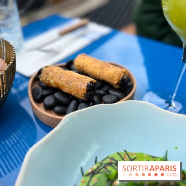 Riviera Fuga - Cannoli tartare de bœuf