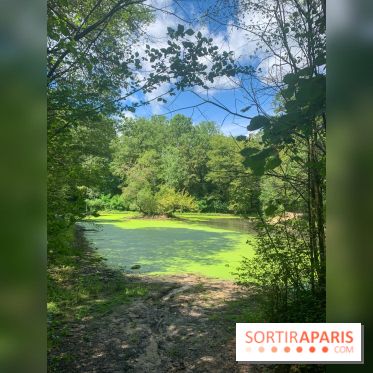 Le Parc forestier de la Poudrerie à Sevran - image00002