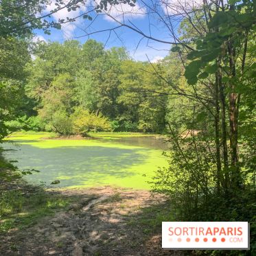 Le Parc forestier de la Poudrerie à Sevran - image00003