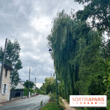 Le long de l'Oise, entre Auvers-sur-Oise et l'Isle-Adam
