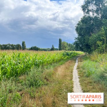 Le long de l'Oise, entre Auvers-sur-Oise et l'Isle-Adam