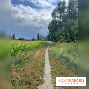 Le long de l'Oise, entre Auvers-sur-Oise et l'Isle-Adam