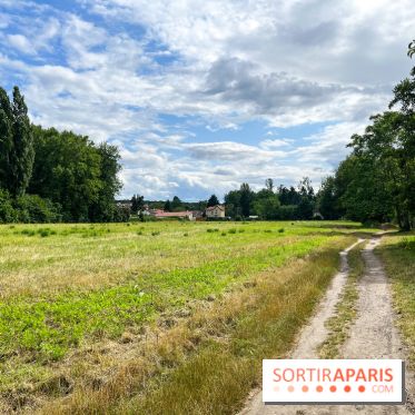 Le long de l'Oise, entre Auvers-sur-Oise et l'Isle-Adam - image00059