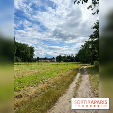 Le long de l'Oise, entre Auvers-sur-Oise et l'Isle-Adam